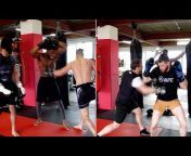 MMA Videos