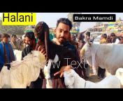 Pakistan Goat farm Official