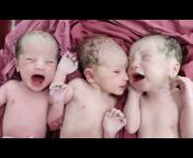 Babies videos