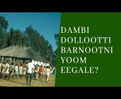 Dambi Dollo University