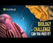 Nucleus Biology