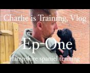Hampshire Spaniel Training