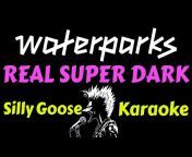 Silly Goose Karaoke