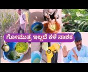 Wali Village Life Kannada Vlog