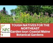Native Plant Channel