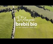 Aveyron Brebis Bio