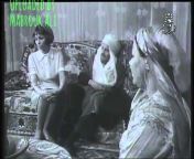 TV Algerie IN Youtube &#124; HD