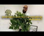 Plant Man P