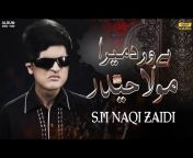 Syed Muhammad Naqi Zaidi