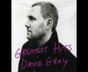 David Gray