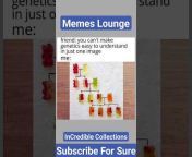 Memes Lounge