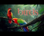 Animals birds