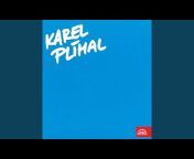 Karel Plíhal - Topic