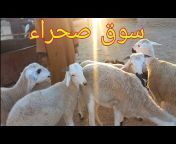 قناة ابواب الرحمة-Channel abwab arhma