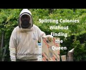 The Sideline Beekeeper-Craig Branch