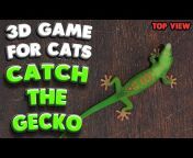 3D GAMES for CATS