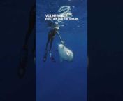 OCEAN RAMSEY shark and ocean conservation u0026 diving