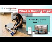 Bulldog Online Yoga u0026 Fitness