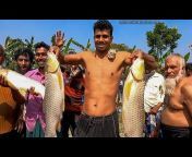 Bangladeshi Fish