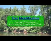 Beaver County Conservation District