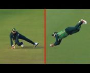 Cricket Best Clips