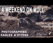 Wildlife Photographer UK
