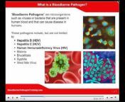 Bloodborne Pathogen