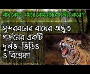e Bangla Vlogs