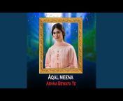 Aqal Meena - Topic