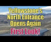 Yellowstone Tours