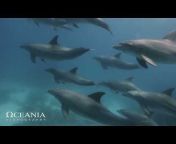Oceania videography