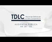 Audiencias Públicas TDLC