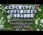 Nao gardenチャンネル