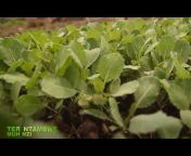 Rwanda Agri