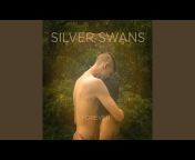 Silver Swans - Topic