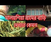 MS Bangladeshi Vlogs