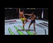 UFC Every Significant Strike