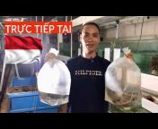 Oai Huỳnh - Chuyên Cá Hổ Sumatra