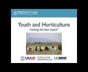 Feed the Future Innovation Lab for Horticulture