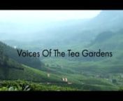 This is a short documentary on women tea plantation workers of Munnar , India. This region is the best teas of India and produces . This is about their struggles and hardships on how their living condition is and how they work hard , just so they can provide education for their children. Where every worker has a different story.This is to notice the work of ordinary women from across the country who contribute to the million dollar industry.