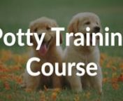 If you&#39;re tired of your dog peeing on your carpet, it&#39;s time to fix it with the Potty Training Course! Get access here: https://pupford.com/potty-training/