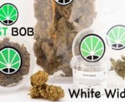 JustBob presents one of the genetics created in the early 90s. She immediately managed to win the hearts of fans and beyond; winning first prize in the Bio section of the High Times Cannabis Cup in 1995.nnDiscover it on the shop: https://www.justbob.shop/product/white-widow/nnThe OverviewnnThe dud are medium / small in size and are of a strong green color. During the flowering period the leaves are characterized by a pure white.nIn plants cultivated in Italy the shade of green is darker than tha