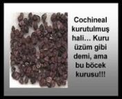 http://www.turkiyevehayatadair.com/2010/08/kolanin-zararlari.html