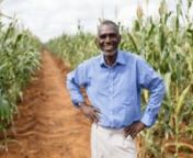 The Zimbabwe Ag Innovations project enables at least 2,500 vulnerable but viable rural smallholder farmers in Beitbridge and Murewa to participate more fully in food security and agricultural economic growth activities.