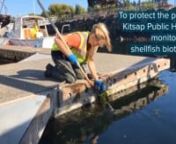 Harvesting shellfish when there are toxins in the water can cause serious illness. Kitsap Public Health protects the public by monitoring for shellfish biotoxins.
