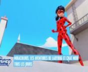 Disney Channel_Miraculous Ladybug from ladybug miraculous