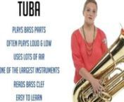 Tuba from tuba tuba