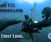 A first look at some underwater footage shot with the Sony F55.nnGear;nSony F55nRAW and XAVC material converted to ProRes using Sony RAW Viewer then edited in Adobe Premier Pro CCnnMore to come.