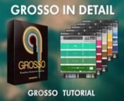 A tutorial that will focus on all features in detail of the Grosso sampling library. nGrosso is the best instrument we have produced to date. Period.nhttp://www.sonokinetic.net/products/classical/grosso/nWith Grosso, Sonokinetic BV is changing the paradigm for orchestral phrase-based instruments… again! Before our Minimal library, the level of control, whilst retaining the authentic sound that live recordings bring to the party, was unheard of. We have gotten so much positive feedback on Minim