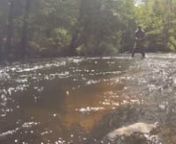 A mid spring Friday morning fly fishing a local trout stream in MA. With a success of landing my first two trout of the 2014 season.nnLike Us https://www.facebook.com/TroutdoorsnFollow Us http://instagram.com/troutdoorsnnSong:nRural Alberta AdvantagenRush ApartnCamera:nGoPro Hero 3
